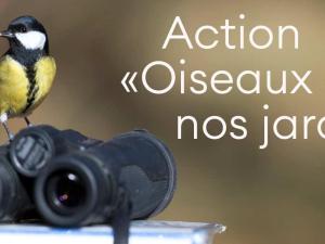 Action "Oiseaux de nos jardins" 